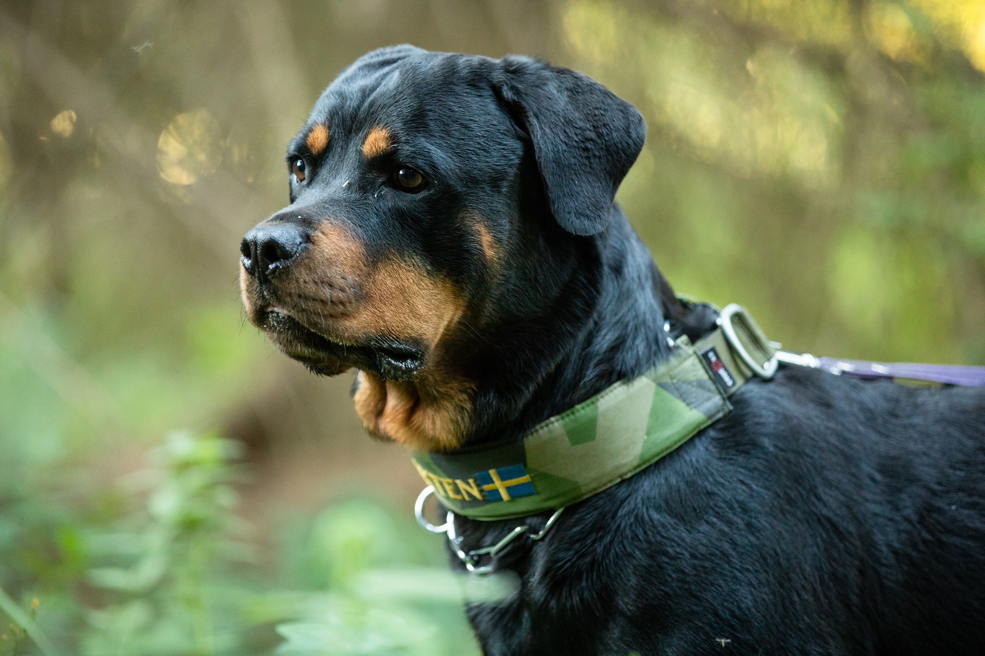 Fotograf: Magnus Fröderberg