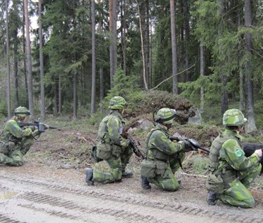 Hundförare och hundar i skogen