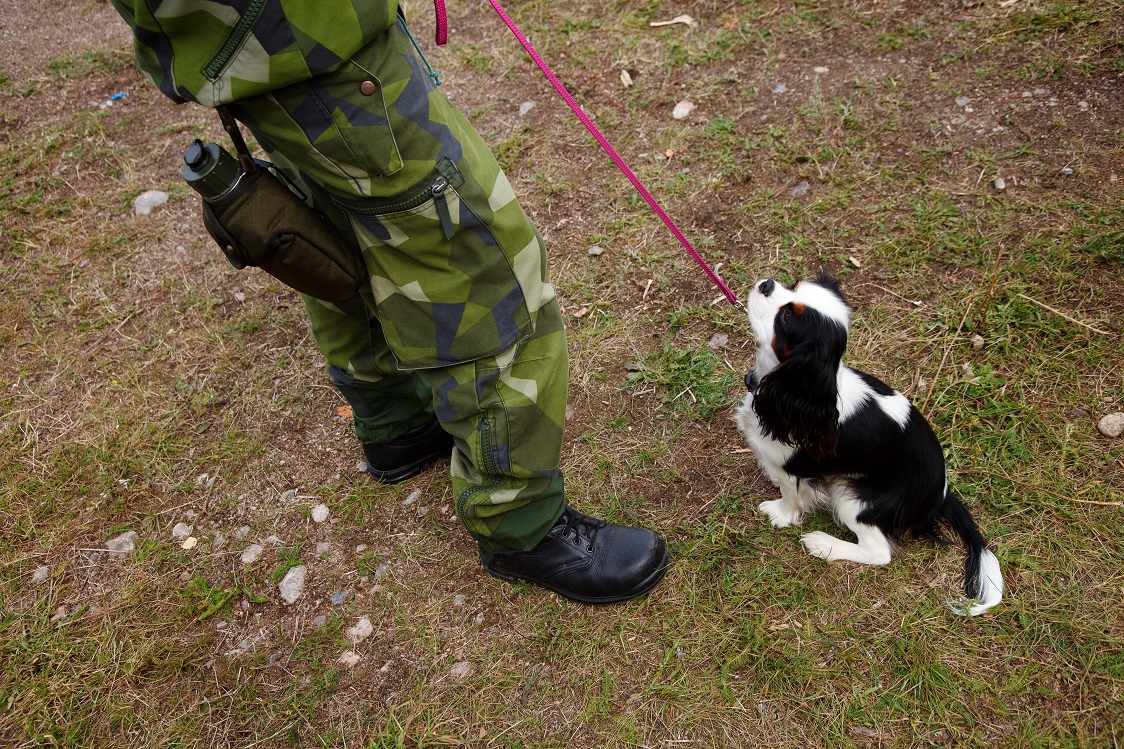 Fotograf: Magnus Fröderberg