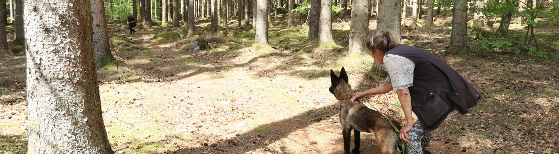 Hund och förare står redo för att träna uppletande.