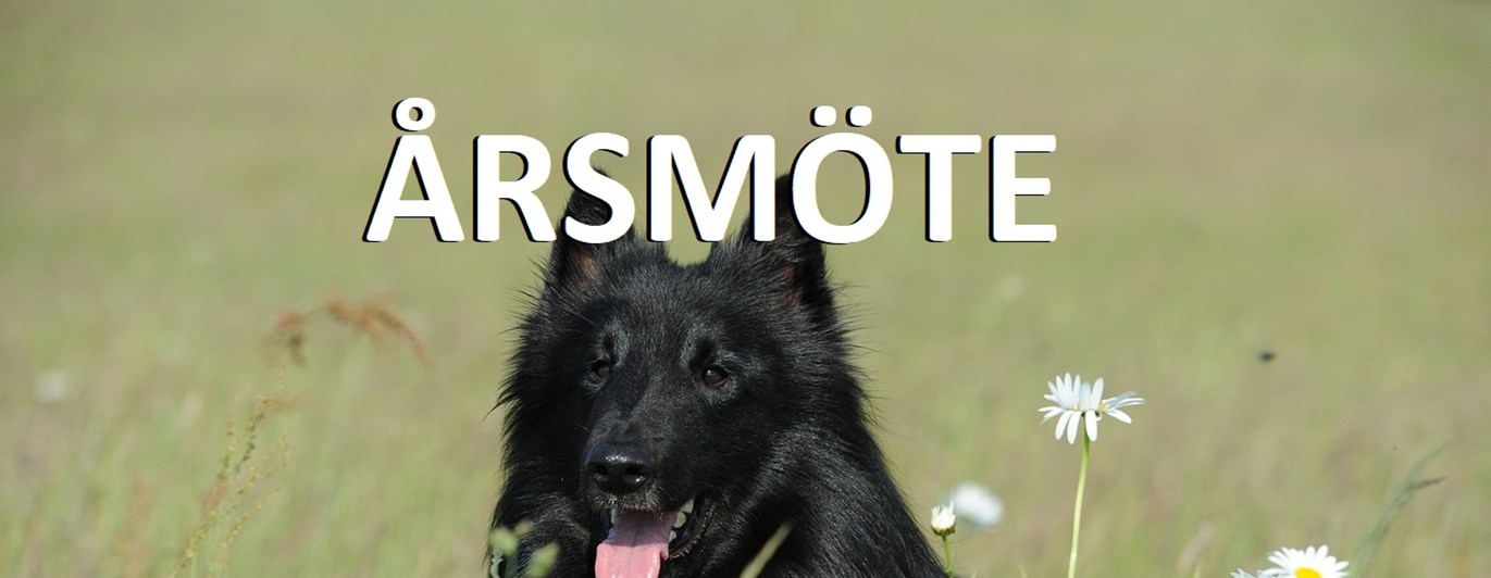 Årsmöte