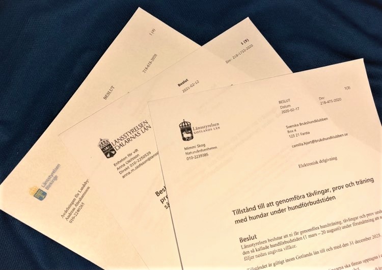 Bild på dispens hundförbudstiden