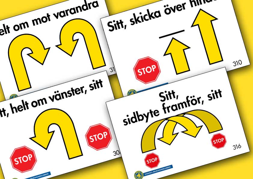 Olika rallylydnadsskyltar