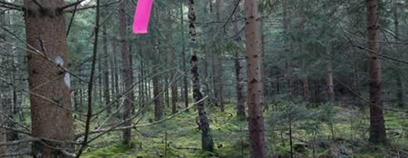 Upplet av föremål