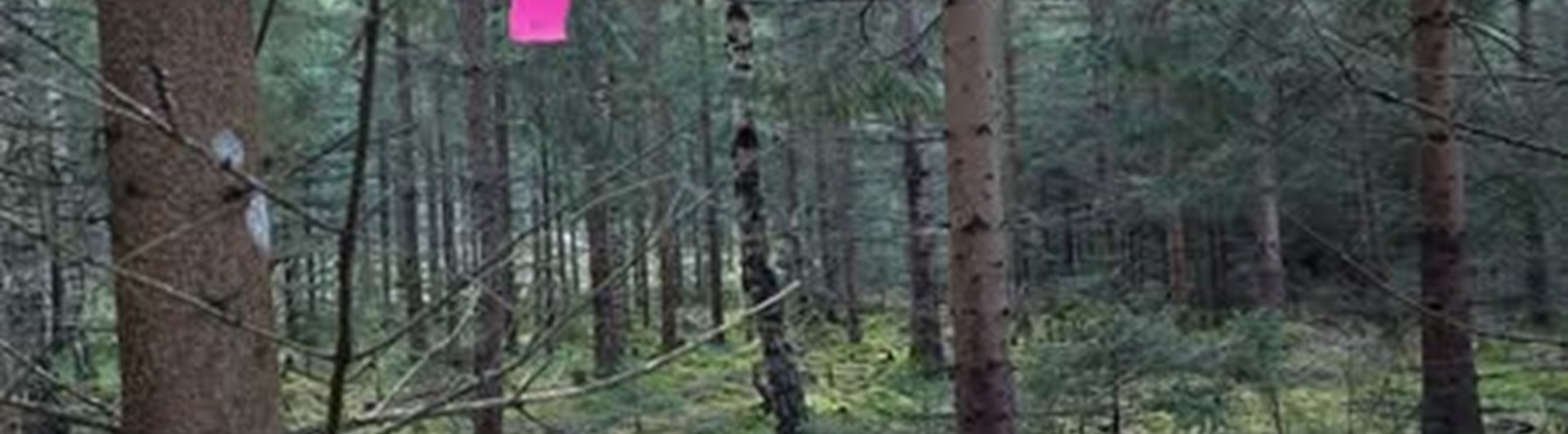 Upplet av föremål