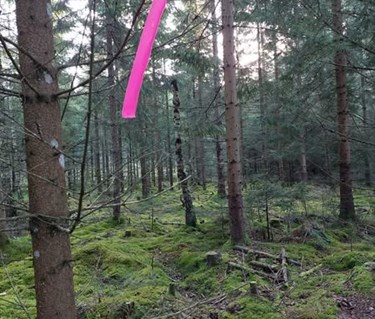 Upplet av föremål