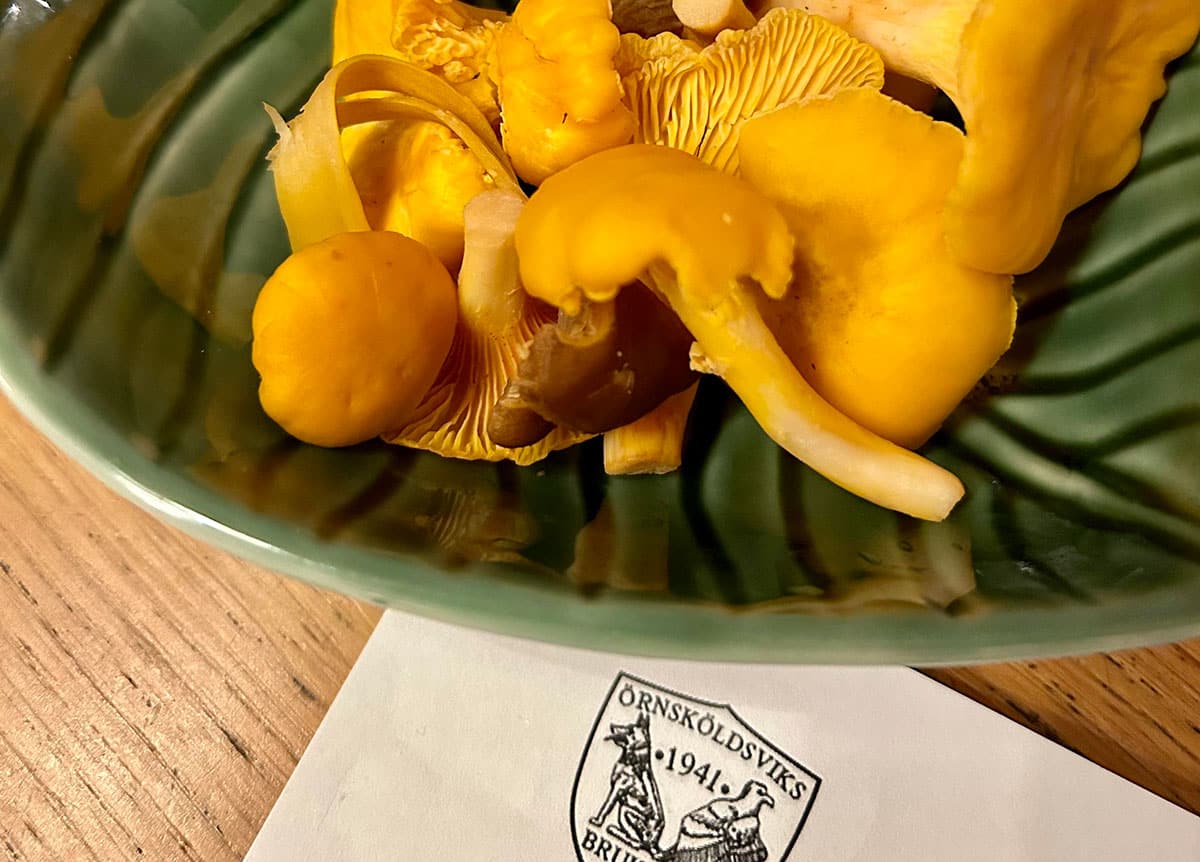 Skål med kantareller och papper med Örnsköldsviks Brukshundklubb logga