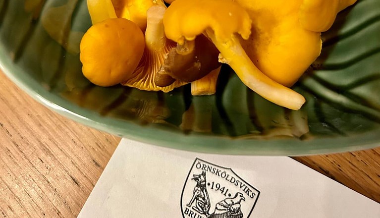 Skål med kantareller och papper med Örnsköldsviks Brukshundklubb logga