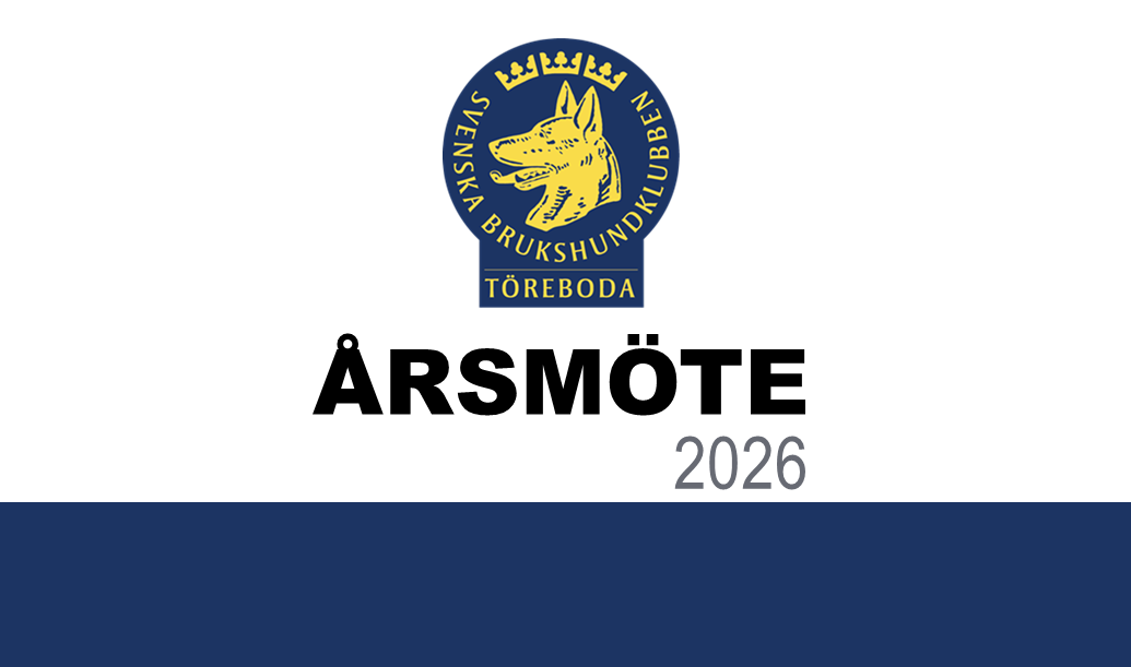 Årsmöte 2026