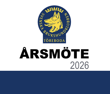 Årsmöte 2026
