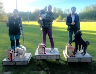 Prispallen Mästarklass KM Rallylydnad oktober 2026
