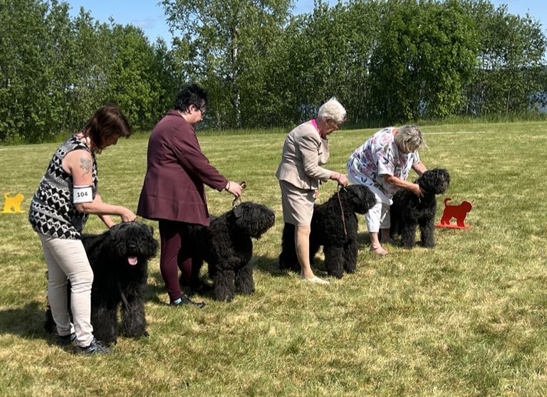 Bästa uppfödargrupp