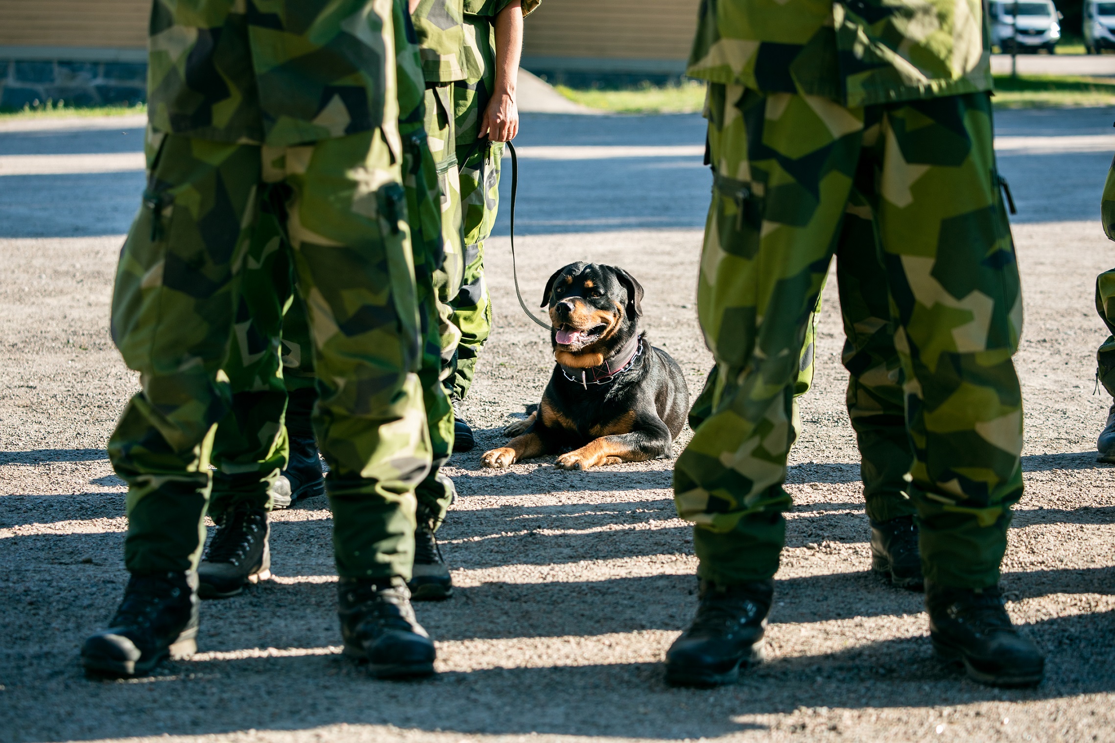 Fotograf: Magnus Fröderberg