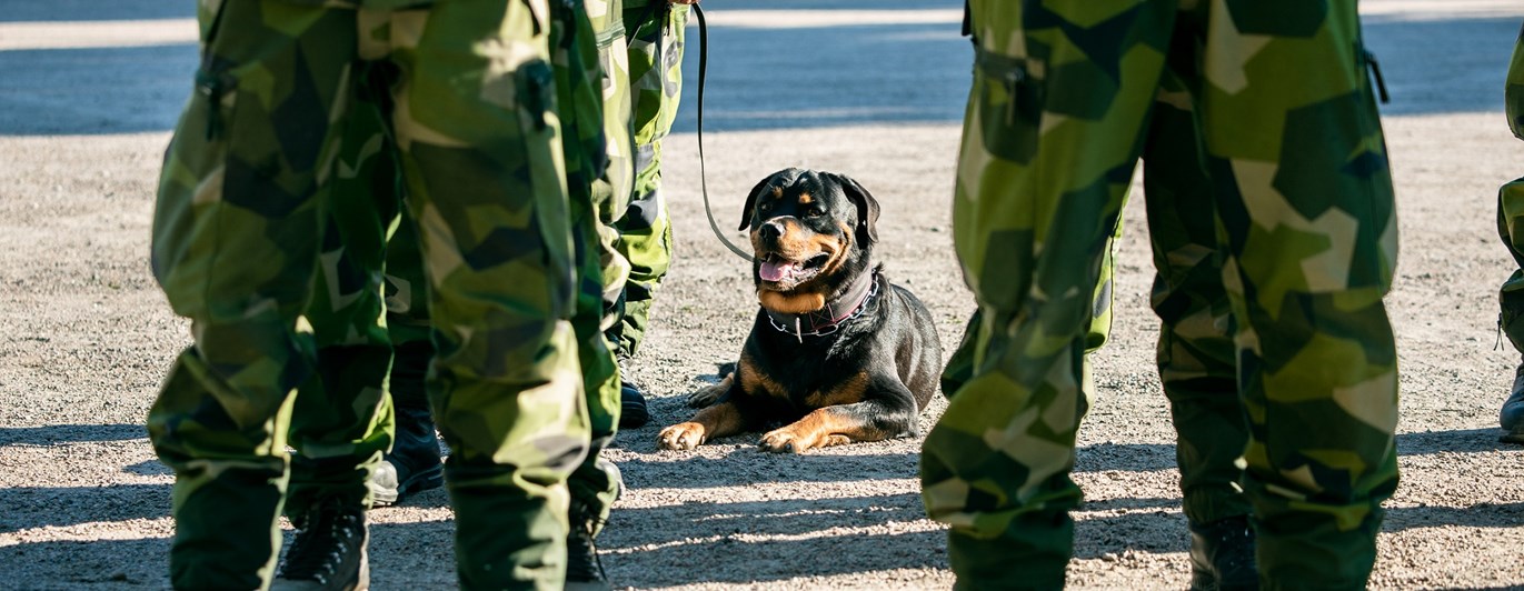 Fotograf: Magnus Fröderberg