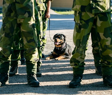 Fotograf: Magnus Fröderberg
