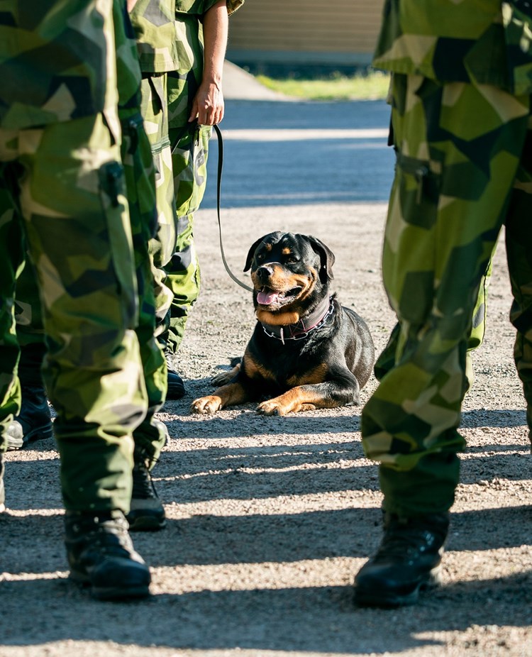 Fotograf: Magnus Fröderberg