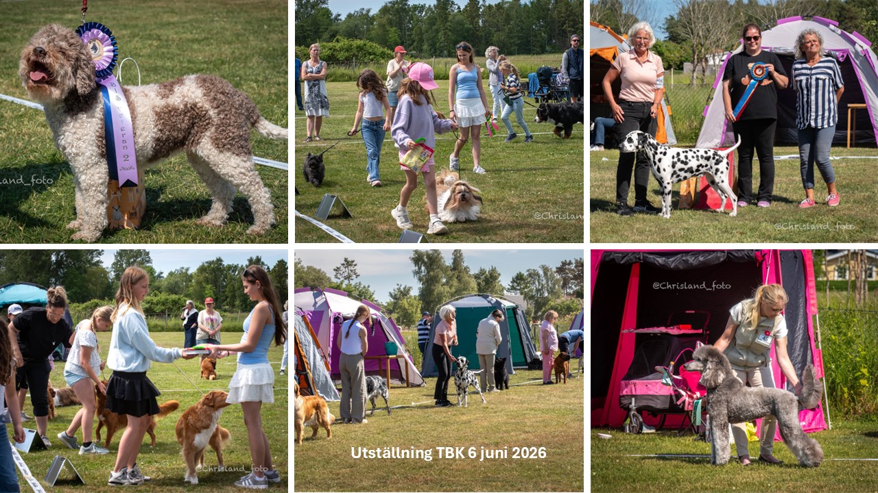 Bilder från vår utställning 6 juni 2026
