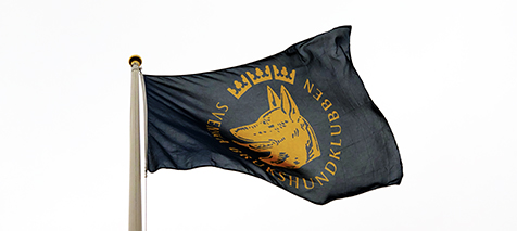 Flagga SBK