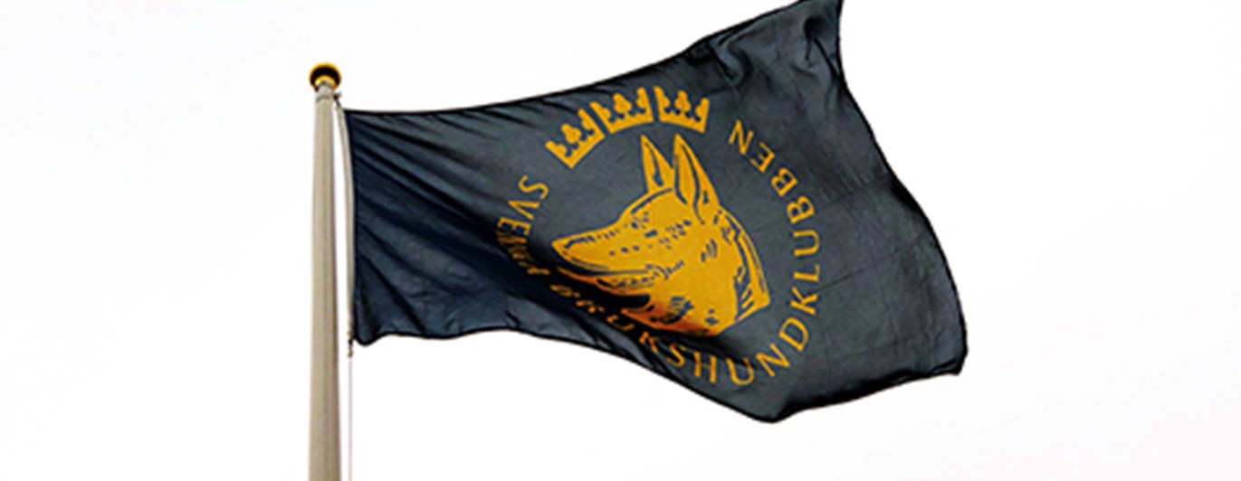 Flagga SBK