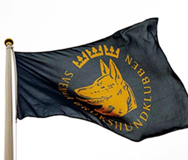 Flagga SBK