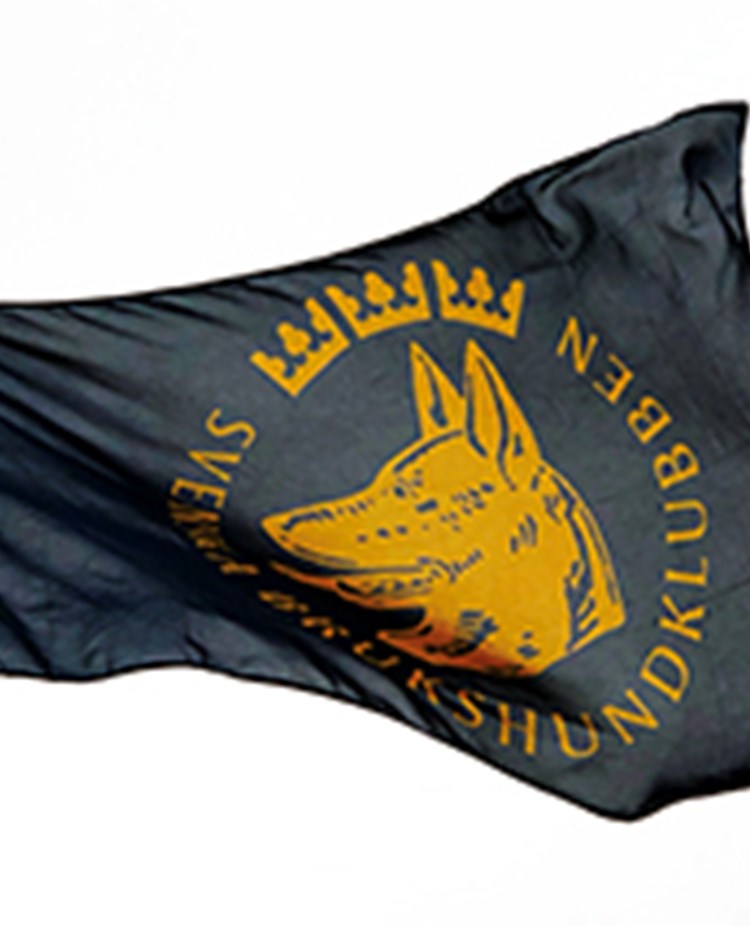 Flagga SBK