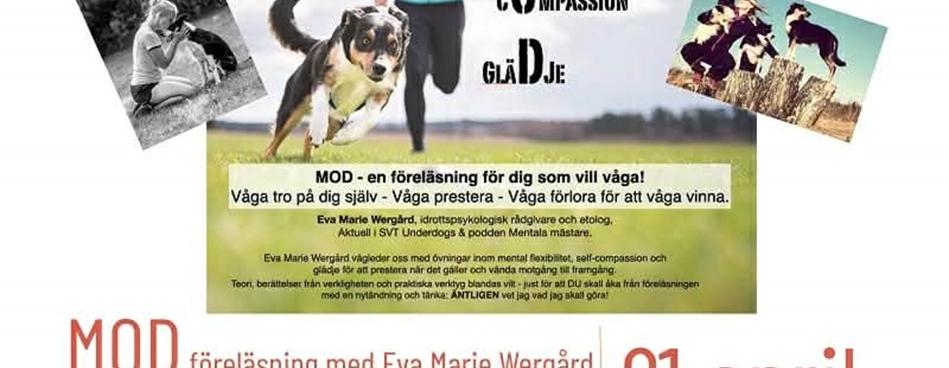 Annons föreläsning tävlingspsykologi