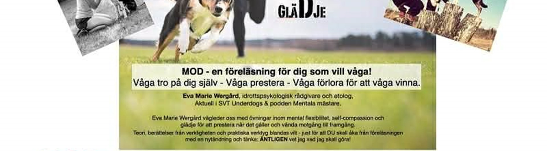 Annons föreläsning tävlingspsykologi