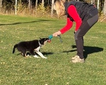 Cilla och Ruff