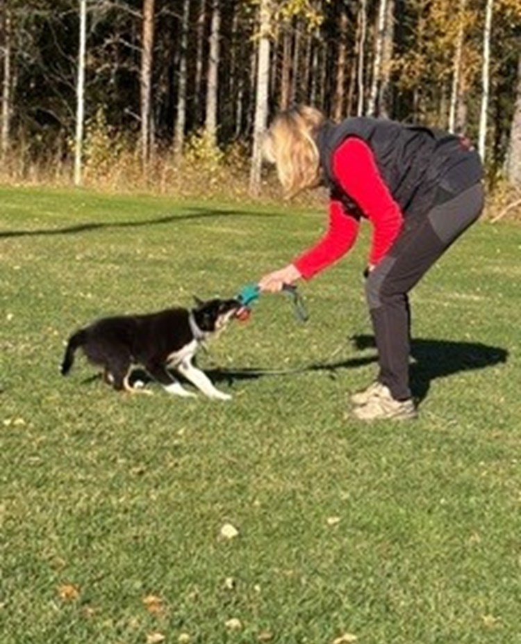 Cilla och Ruff