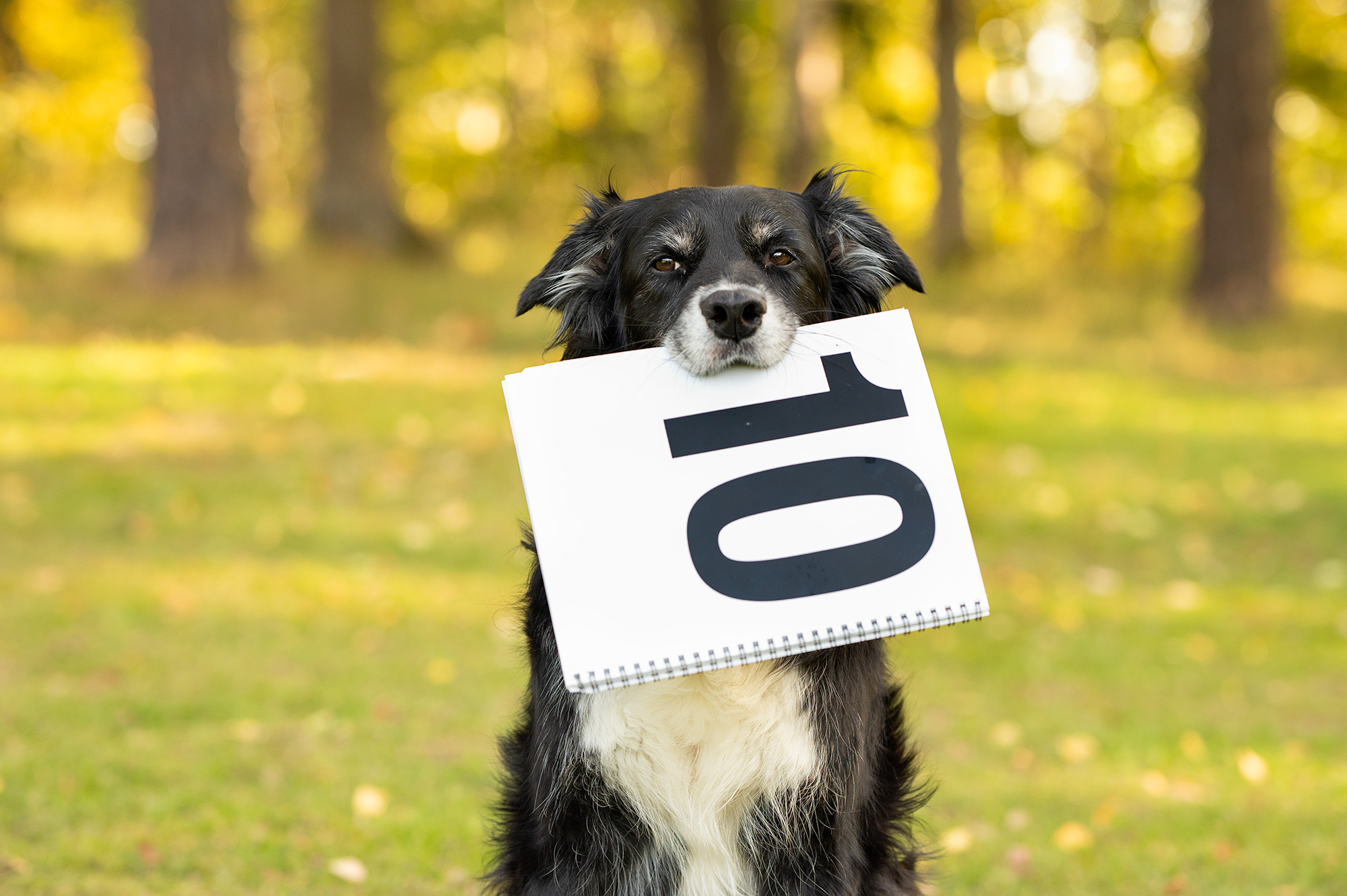 Linna visar upp en 10a