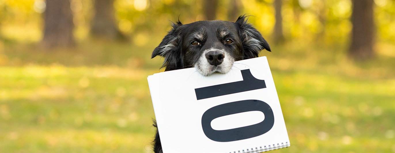 Linna visar upp en 10a