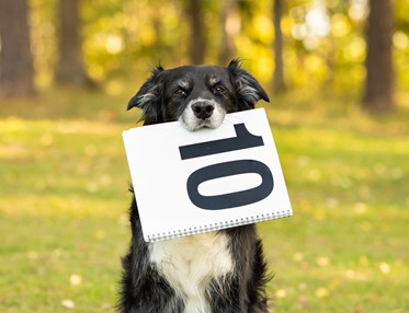 Linna visar upp en 10a