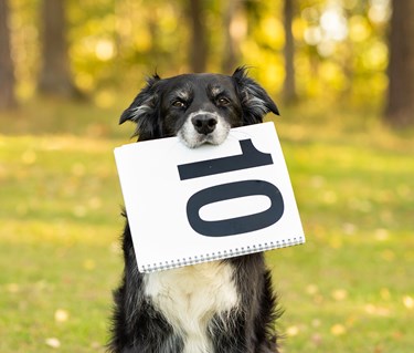 Linna visar upp en 10a