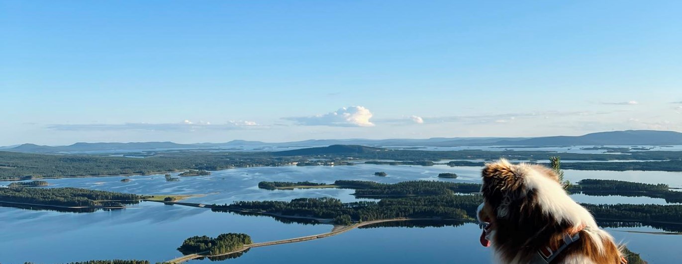 Arjeplog