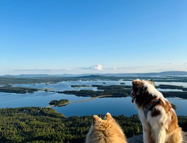 Arjeplog