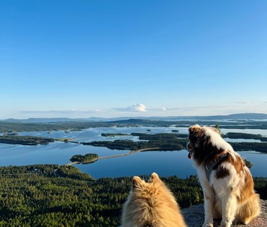 Arjeplog