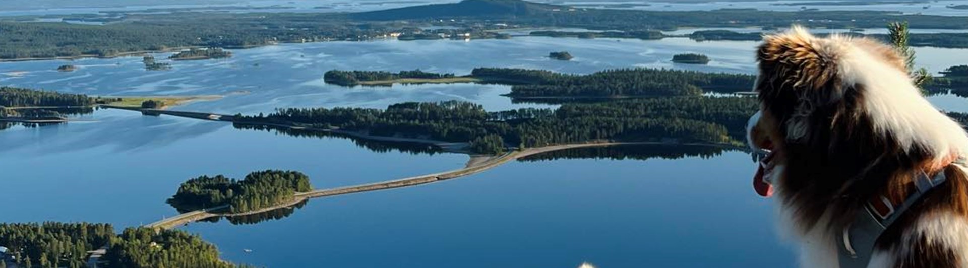 Arjeplog