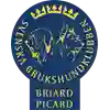 SBK Logga Briard- och Picardklubben