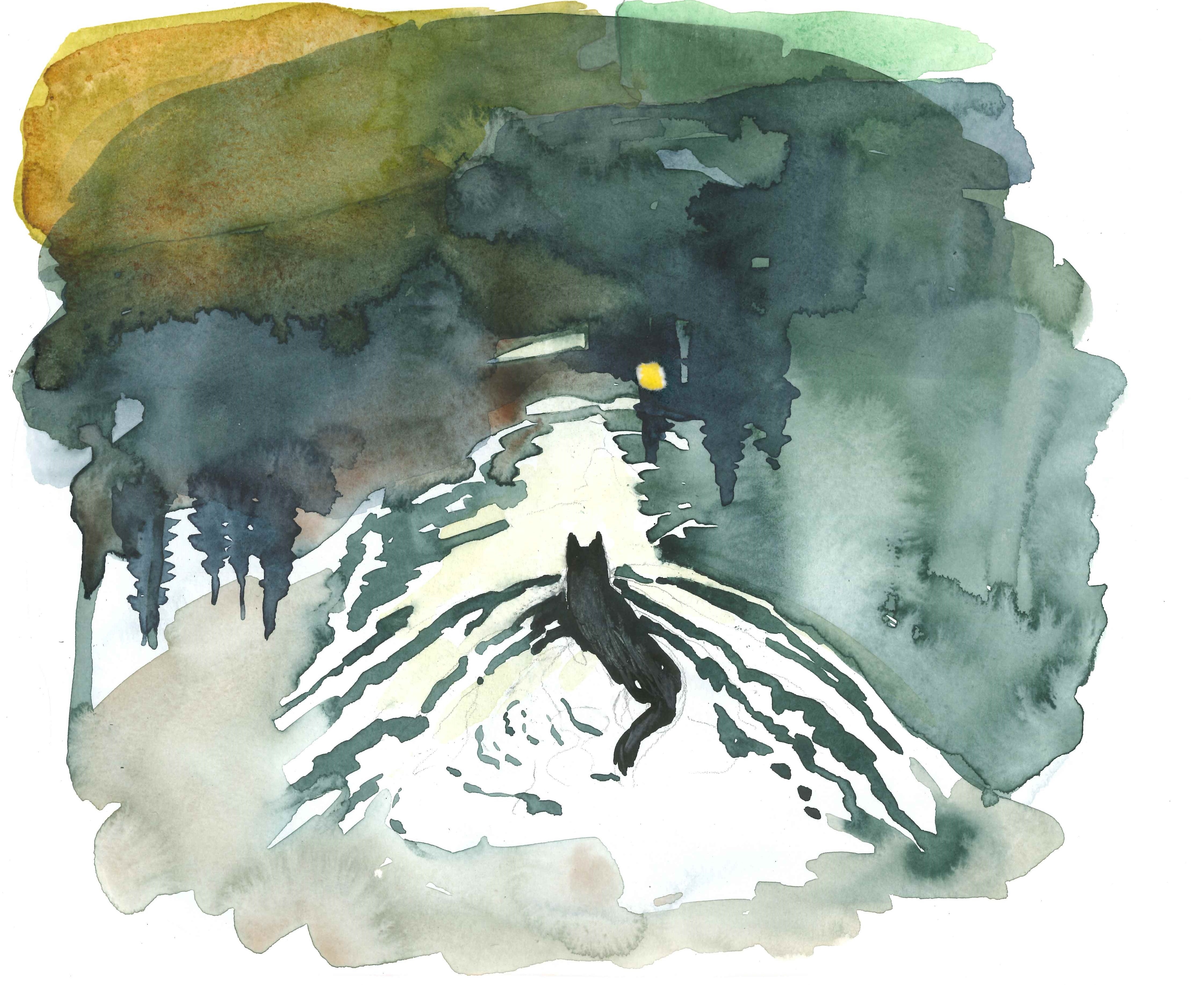 Illustratör: Lotte Sederholm