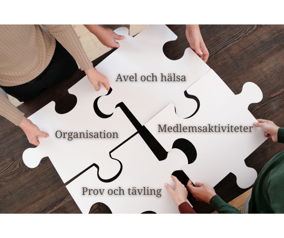 Fyra vita pusselbitar med text på varje pusselbit. 