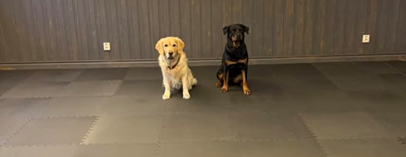 Lizzie och Izo tränar