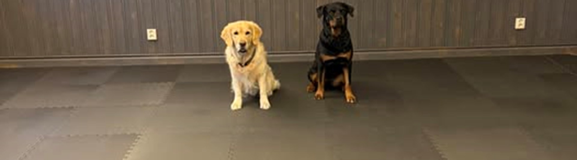 Lizzie och Izo tränar