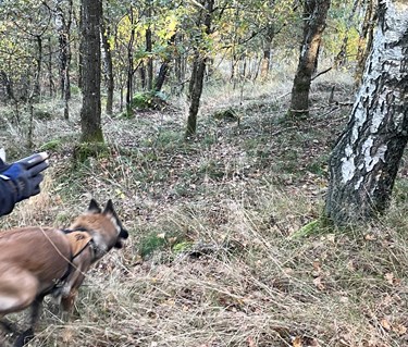 SAR-helg i Skåne 29-30 augusti