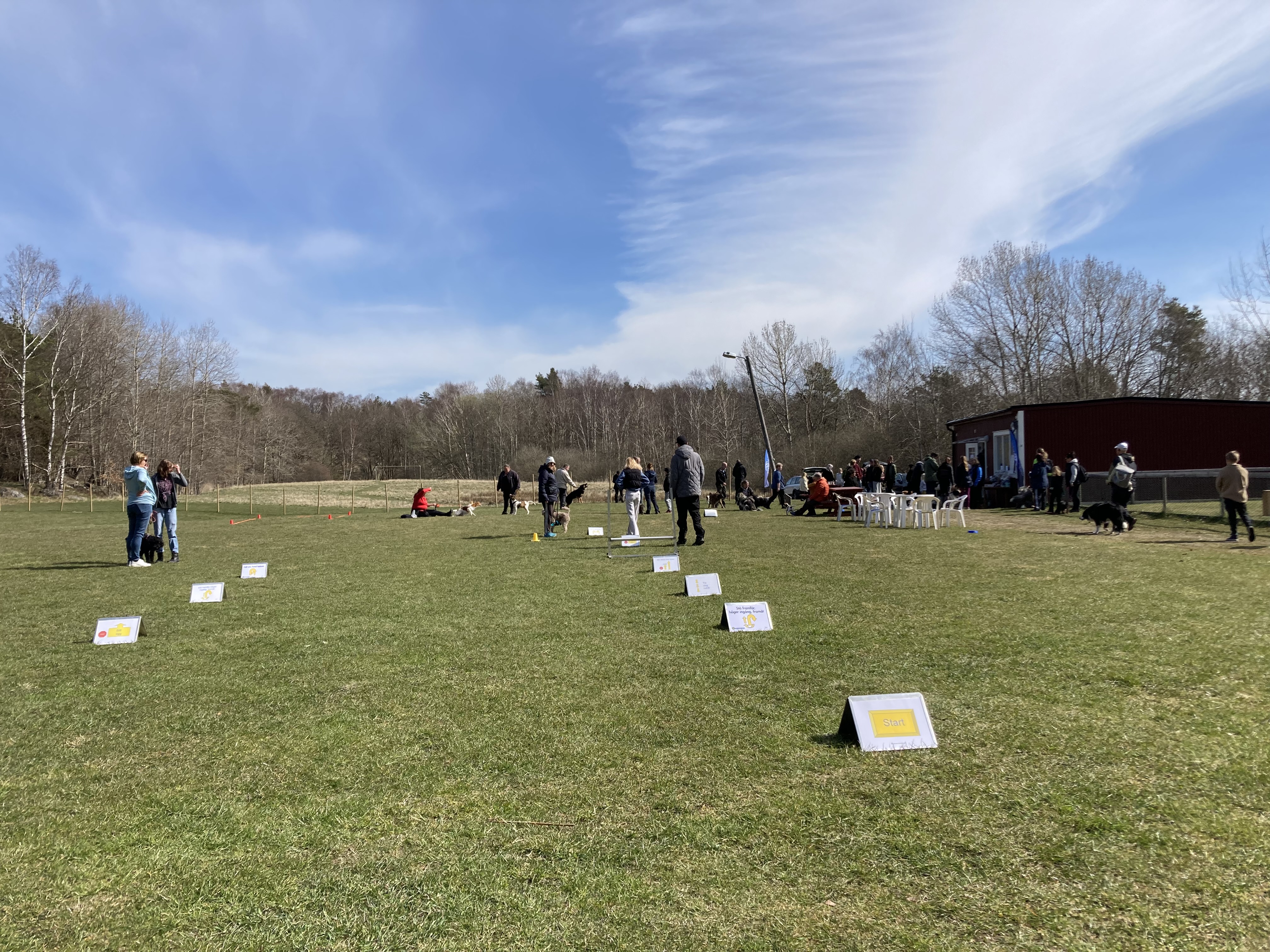Bilden visar en rad med rallylydnadsskyltar och några människor och hundar i bakgrunden