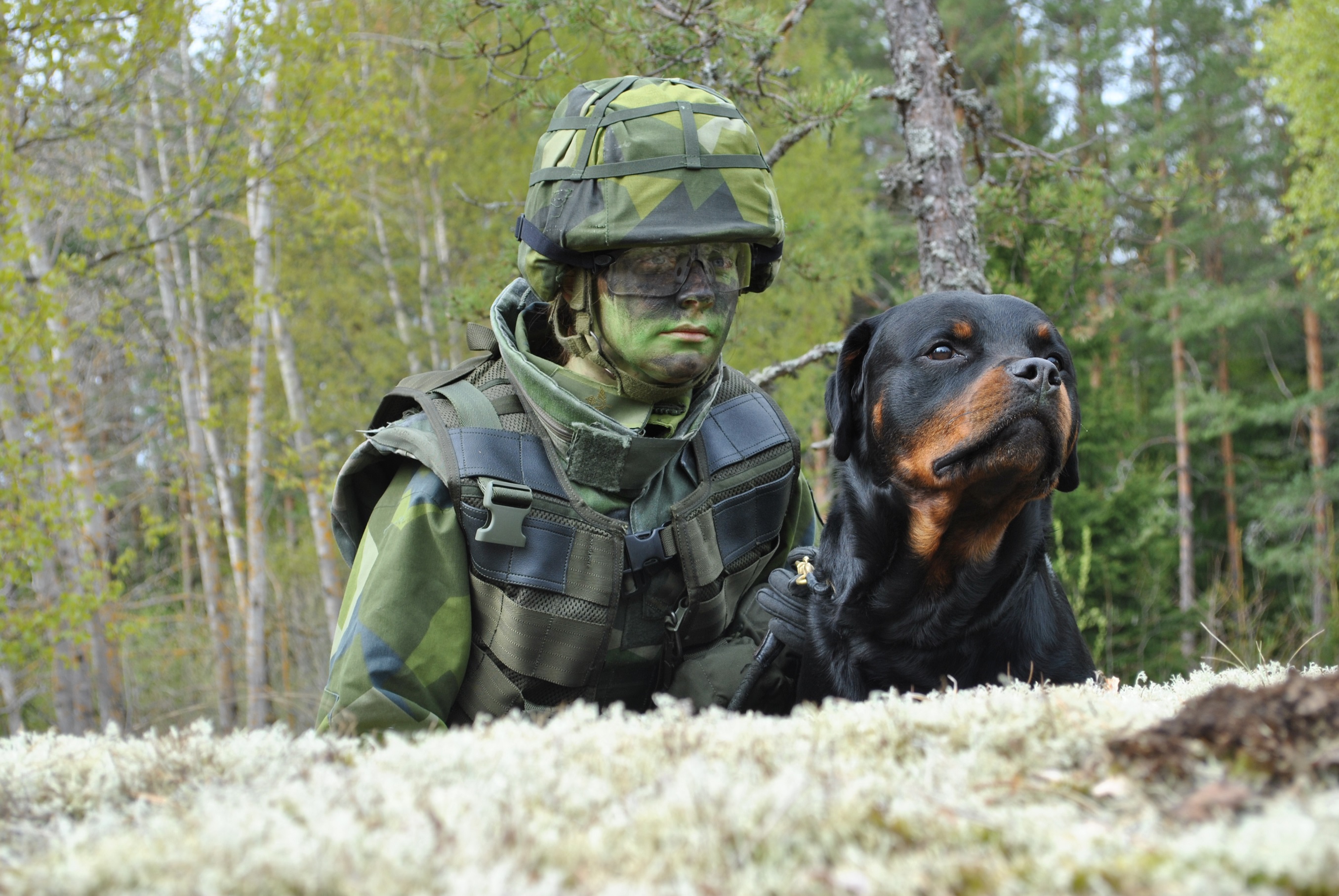 Fotograf: Jonas Strandberg