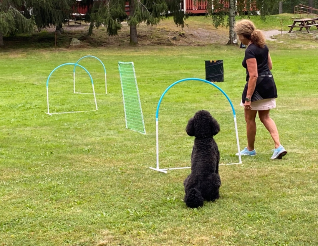 Hoopersträning
