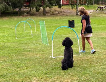 Hoopersträning