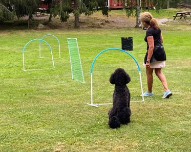Hoopersträning
