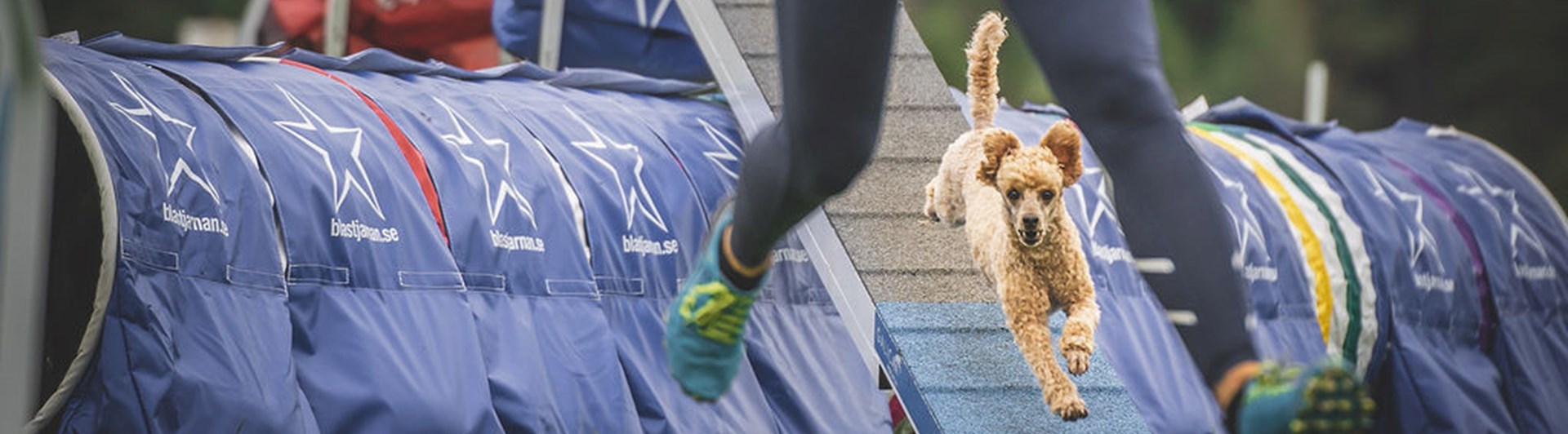 Agility bana