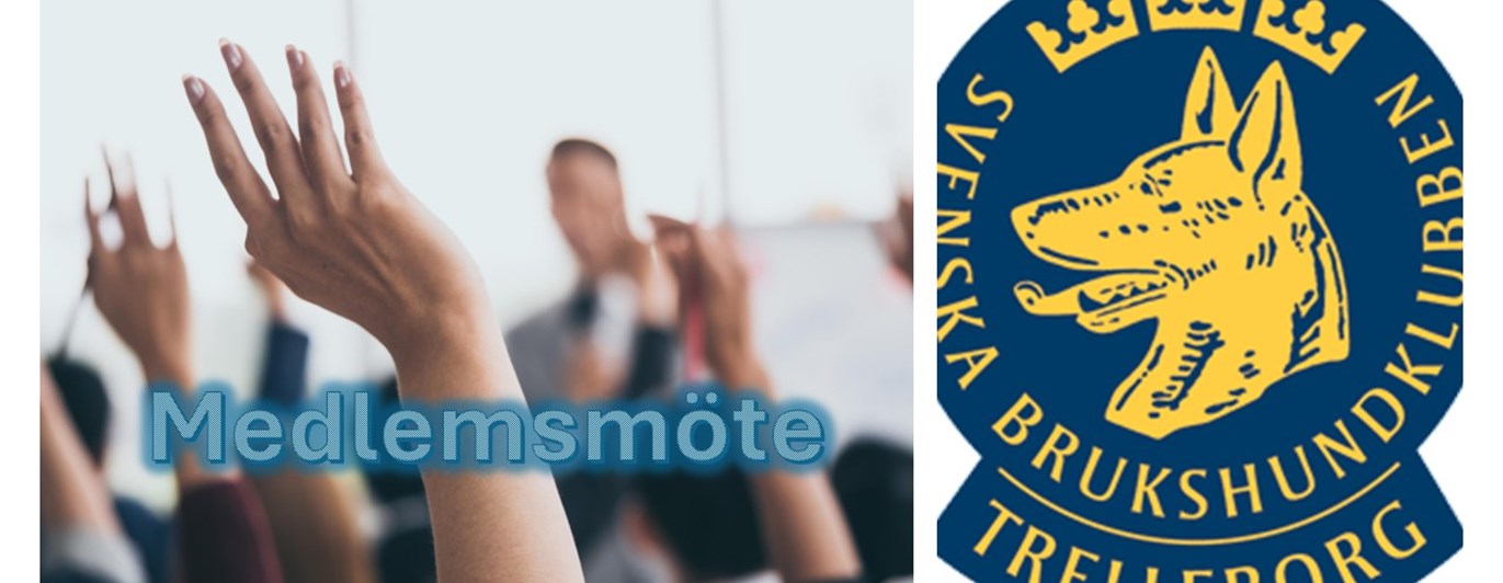 Medlemsmöte